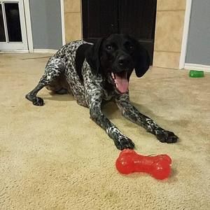 Meet your Posher, Senad